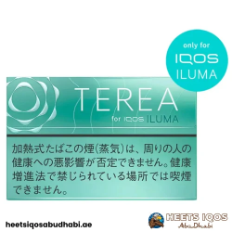 TEREA Mint Japan