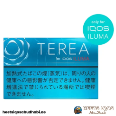 TEREA Regular Japan
