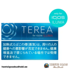 TEREA Rich Regular Japan